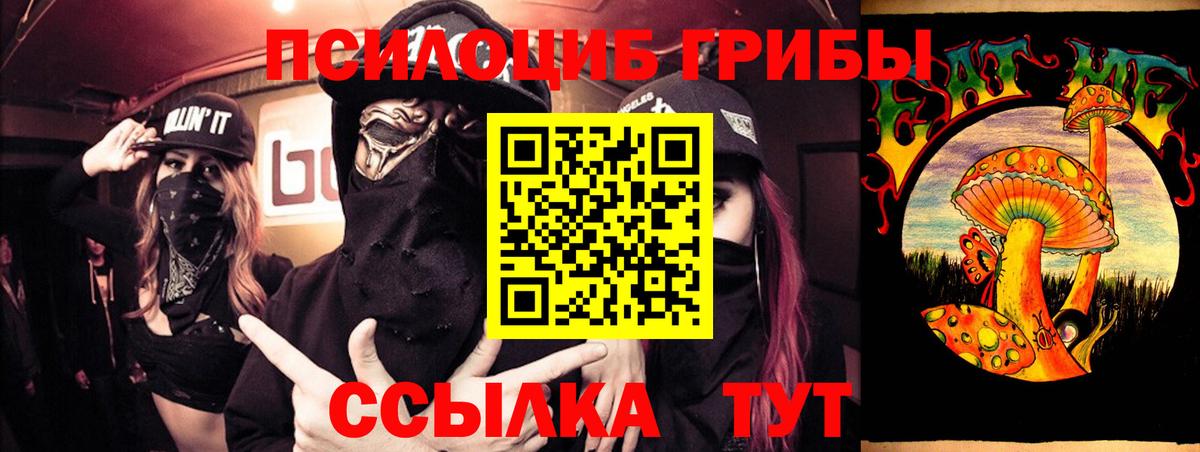Псилоцибиновые грибы Cubensis  Вход с VPN  Кореновск 
